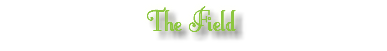 The Field